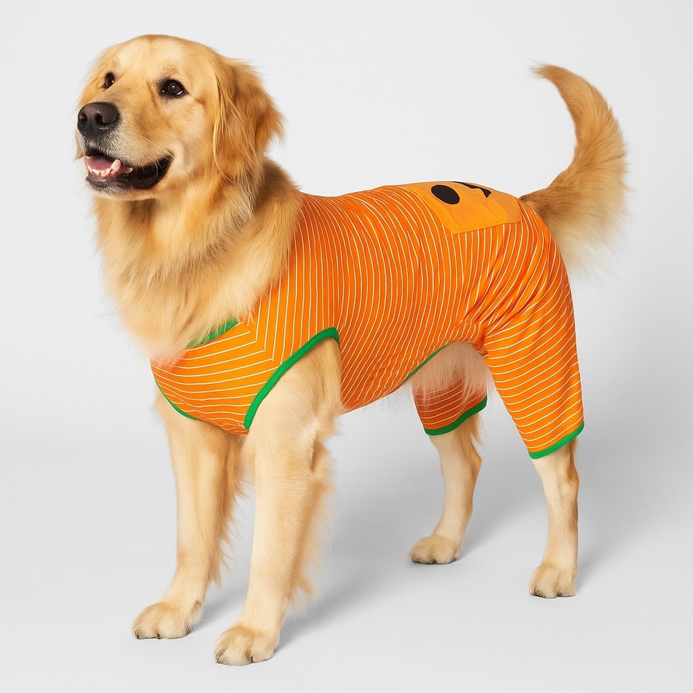 Dog M XXL Halloween Orange Pumpkin Themed with a Jack O’Lantern Face on Back